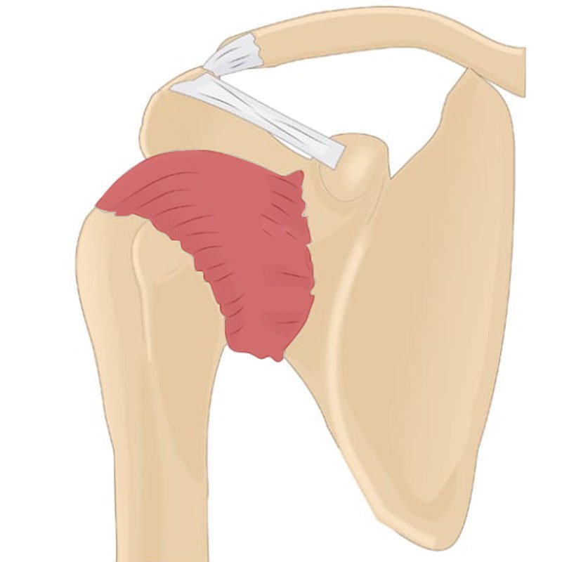 Arthritis Knee & Shoulder Rehab Therapy stage3 | Global Health