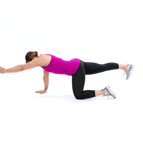 Quadruped with Leg Lift - Muscle & Fitness