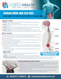 Global Health Spine And Laser Center - Journal